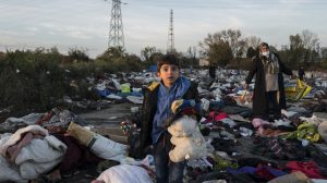 L1050173 scaled e1758702441815